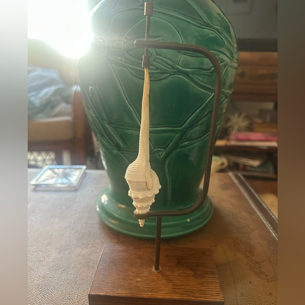 Elegant Shell Decor brass tension and wood Stand
